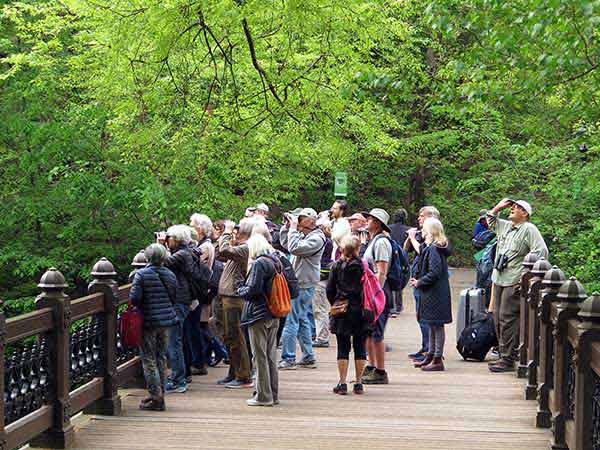 bird watching tours nyc