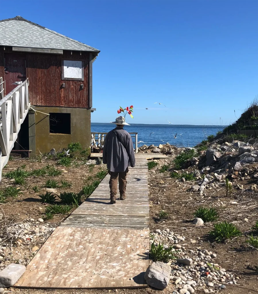 Great Gull Island - A Researcher on the Boardwalk in a flower hat to keep the terns from pecking her head.