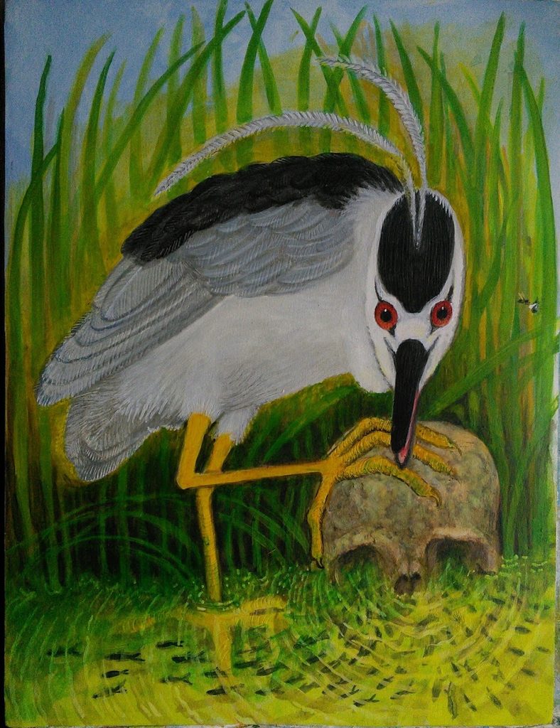 Lee Rogers' painting of a Black-crowned Night-Heron catching a fish