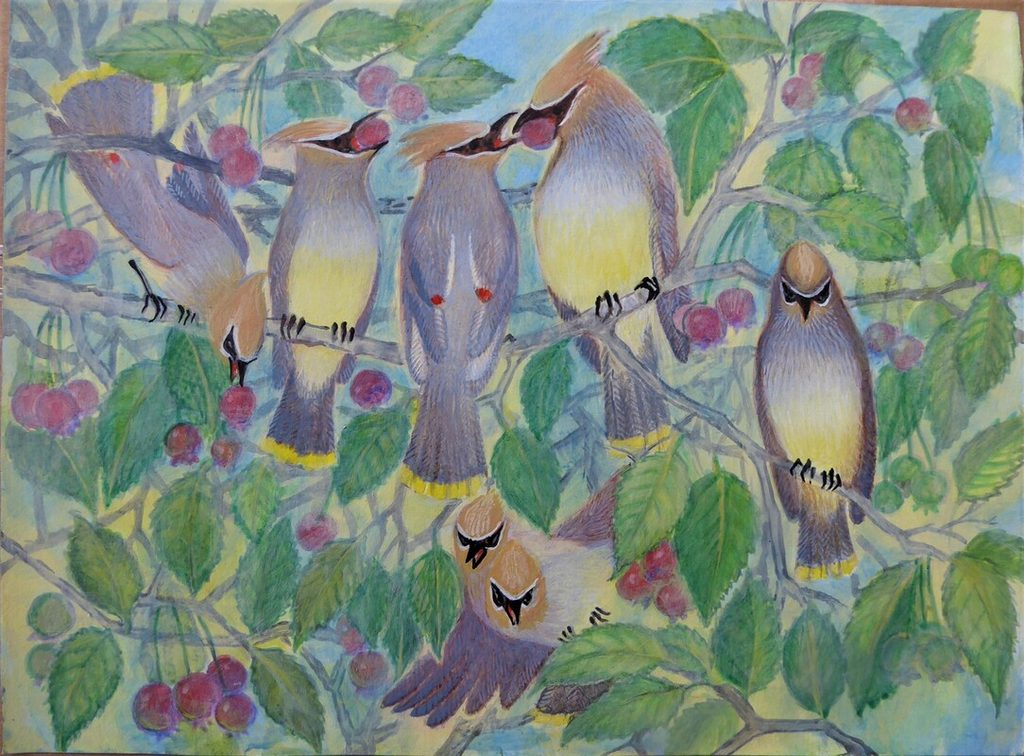 Lee Rogers' painting of Cedar Waxwings sharing serviceberries