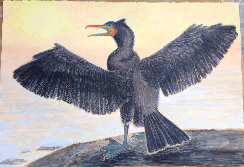 Lee Rogers' painting of a Double-crested Cormorant drying its wings on the Lake in Central Park