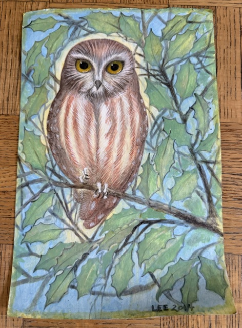 Lee Rogers' painting of a Northern Saw-whet Owl with its eyes open