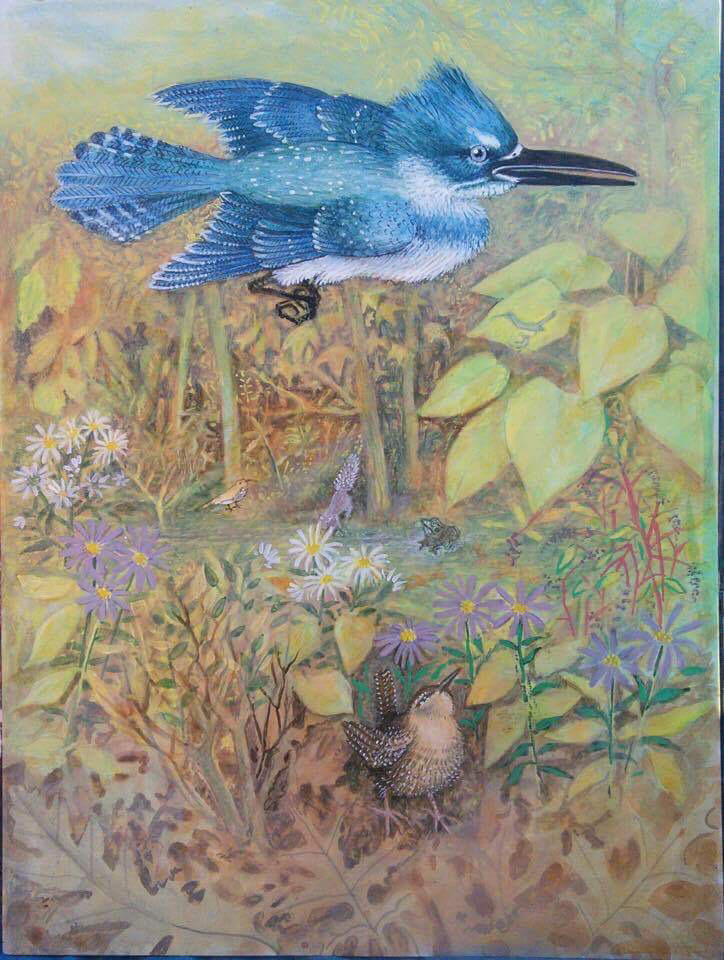 Lee Rogers' painting of a male Belted Kingfisher and a Winter Wren at Azalea Pond
