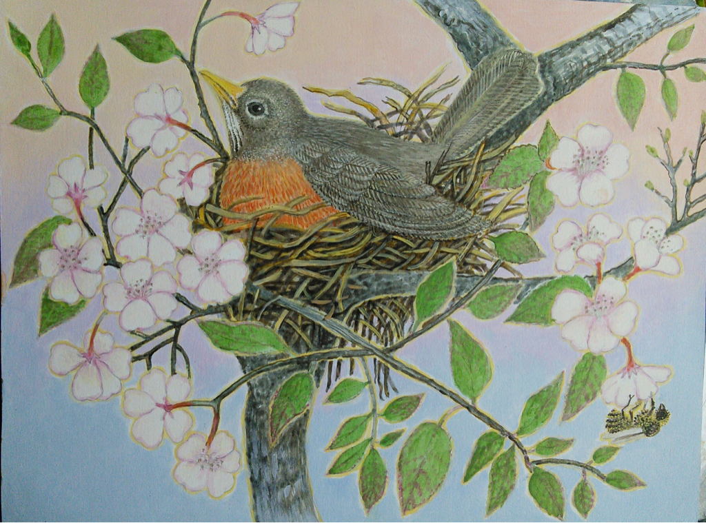 Lee Rogers' painting of a mother American Robin sitting on her nest