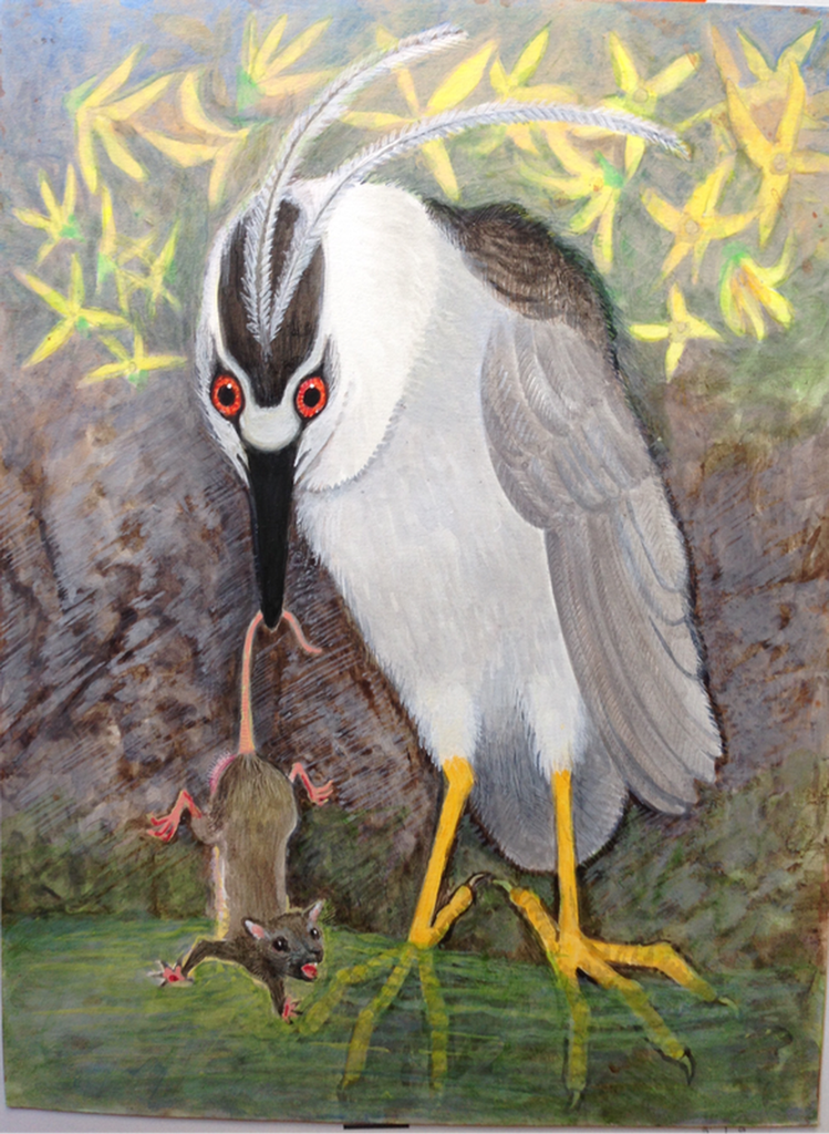 Lee Rogers' painting of a Black-crowned Night-Heron catching a rat