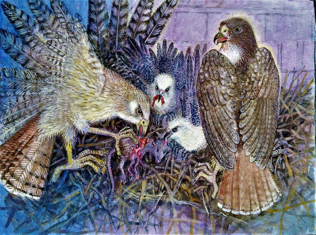 Lee Rogers' painting of Pale Male and his mate feeding their chicks at the nest