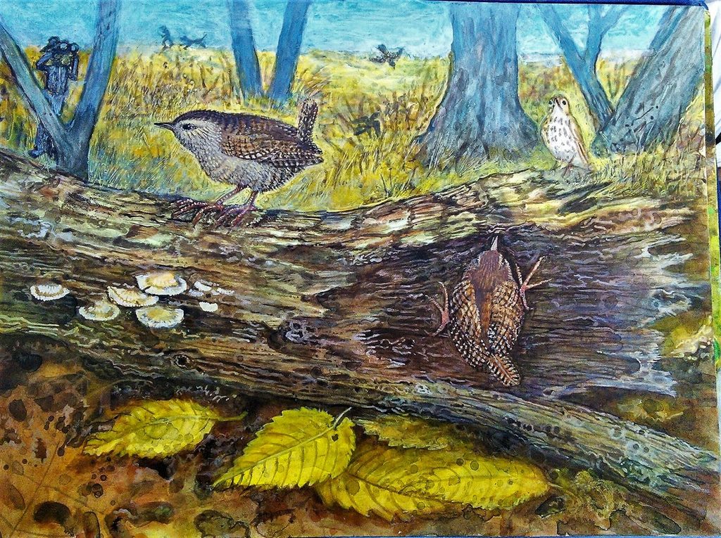 Lee Rogers' painting of a Winter Wren on a mossy log with fallen leaves and mushrooms