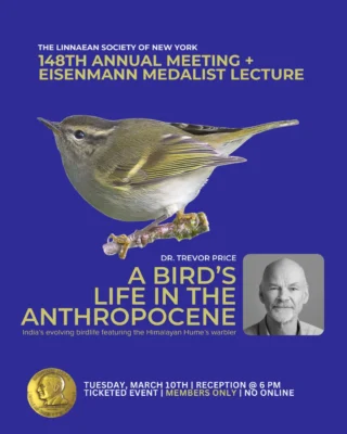 148th Annual Meeting
Tuesday, March 10, 2026

Join us for a special evening with Trevor Price, recipient of the Eisenmann Medal, as he presents:
A Bird’s Life in the Anthropocene

Dr. Price will explore how birds are responding to rapid environmental change, drawing from five decades of research in India. From shifting breeding times to the cultural evolution of birdsong, his work on the Hume’s Warbler offers a powerful look at resilience in a changing world.

📍 Ticketed event
🍷 Wine, beer & passed hors d’oeuvres
📬 Invitations mailed in February
🔒 Open to members and their guests

Tickets available on our website.

#LinnaeanSociety #LSNY #EisenmannMedal #Ornithology #BirdConservation #BirdScience #Anthropocene #StayCurious