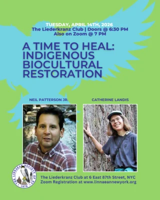 Linnaean Society General Meeting⁠
Tuesday, April 14, 2026 | 7:00 PM ET⁠
⁠
Join us for an important and timely conversation with Neil Patterson Jr. and Catherine Landis of the Center for Native Peoples and the Environment:⁠
⁠
A Time to Heal: Indigenous Biocultural Restoration⁠
⁠
Across the Northeast and beyond, Indigenous communities are restoring relationships with ancestral lands—reviving traditional stewardship practices and reshaping how conservation is approached. This talk explores the growing movement toward biocultural restoration, where Indigenous knowledge and ecological science come together to support the health of both land and people.⁠
⁠
📍 The Liederkranz Club, 6 E 87th St, NYC⁠
🕡 Doors open at 6:30 (cash bar)⁠
🕖 Program begins at 7:00 PM ET⁠
🎟️ Free and open to the public (no registration required for in-person)⁠
💻 Also available live on Zoom (register via our website)⁠
⁠
#LinnaeanSociety #LSNY #IndigenousKnowledge #BioculturalRestoration #EnvironmentalStewardship #UrbanEcology #NYCBirds #StayCurious
