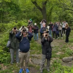 Get to Central Park STAT! The Birdathon is in full effect, and we’ve seen over 60 species already! #birdathon #greatgullisland #linnaeansocietyofnewyork #staycurious
