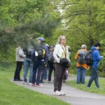Here is a partial shot of the Slow Birding Saturday team, our largest team, led by Chuck McAlexander. As usual, they upped the ante by creating a super cool list of ways to donate, including: Nest, Adult, Young Combinations, Birds with Any Yellow Plumage, Blue/Red Color War, and more. Such a creative group!