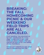 Rain, rain, go away! 🌧️ ⁠
⁠
Unfortunately, Mother Nature has other plans for us this weekend. Due to the forecast for high winds and heavy rain, the Fall Homecoming Picnic and all LSNY weekend field trips are canceled for the safety of our members and trip leaders.⁠
⁠
We’re disappointed to miss another weekend together, but there’s plenty more birding ahead this fall. 🍂🐦⁠
⁠
Visit the LSNY website to see upcoming field trips, meetings, and events. We hope to see you soon!⁠
⁠
#LinnaeanSociety #LSNY #BirdingNYC #NYCBirding #FallBirding #CentralParkBirding #StayCurious
