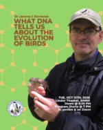 Linnaean Society General Meeting⁠
Tuesday, October 13, 2026 | 7:00 PM ET⁠
⁠
CAPTION:⁠
⁠
What can DNA tell us about the evolution of birds? Quite a lot, it turns out.⁠
⁠
Join us for a talk with Dr. Jeremy J. Kirchman, who has spent 30 years sequencing bird DNA to uncover their evolutionary history. He’ll explore how remarkable advances in genomics have transformed our understanding of the avian tree of life, sometimes revealing surprising relationships and even reshaping how bird families, genera, and species are classified.⁠
⁠
We’ll also discover how new genomic research is helping scientists understand the genetics behind adaptation and the process by which new species arise.⁠
⁠
📍 Linder Theater, American Museum of Natural History⁠
Enter via the West 77th Street entrance⁠
🕡 Doors open at 6:30 PM⁠
🕖 Program begins at 7:00 PM ET⁠
🎟️ Free and open to the public⁠
🔗 Please register on our website